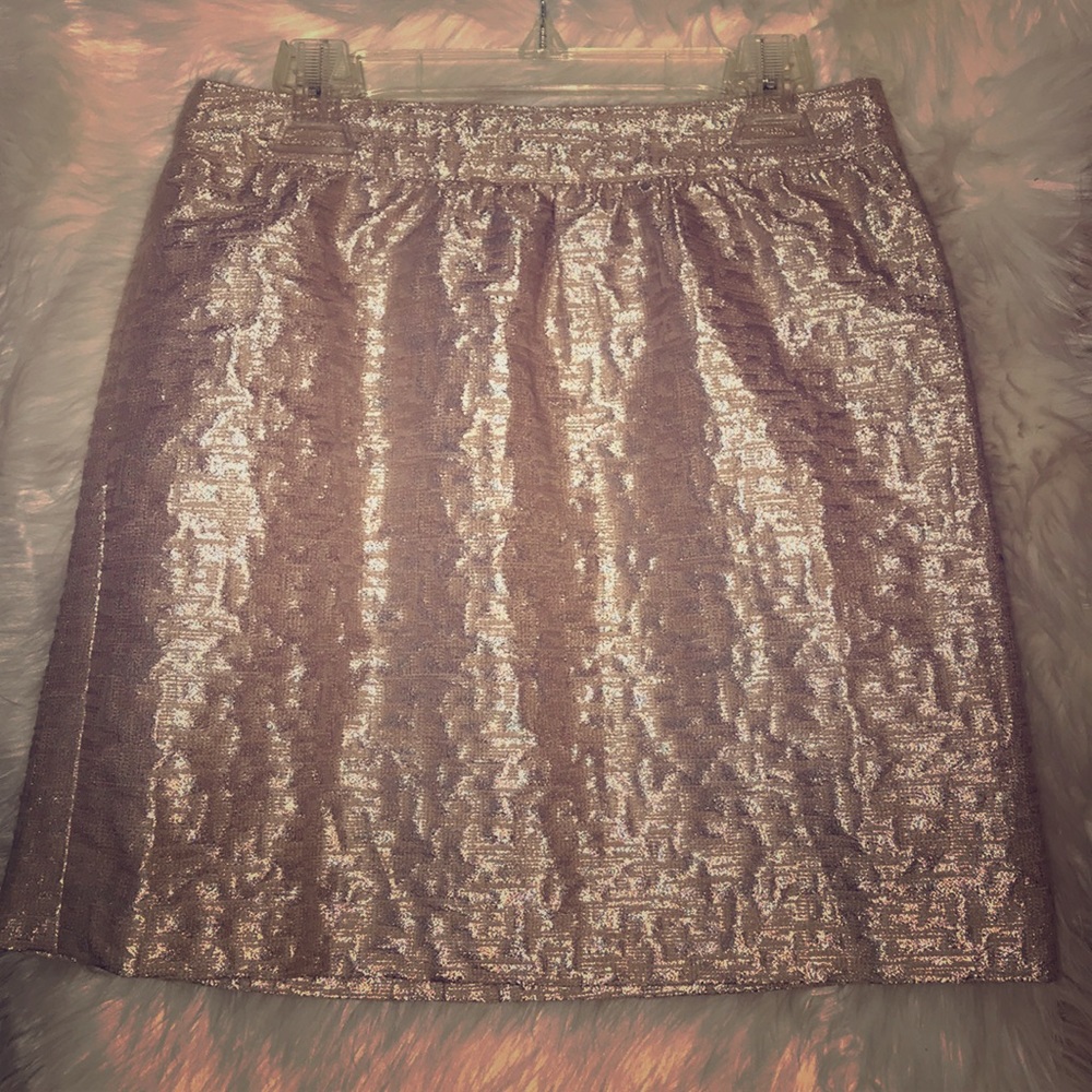 Ann Taylor LOFT petite skirt